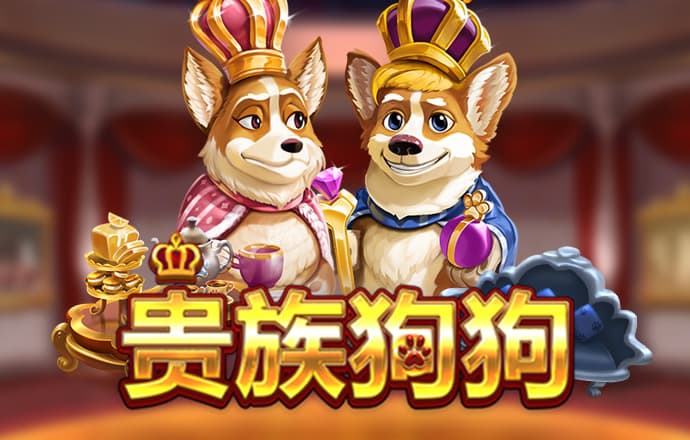 kok官网